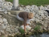 mwa-cleanup-2009-030