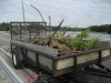 mwa-cleanup-2009-041