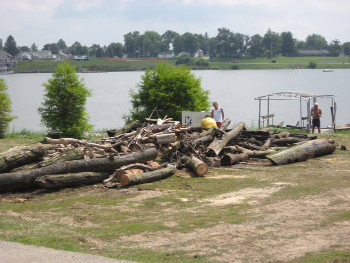 lake-cleanup-2008-029