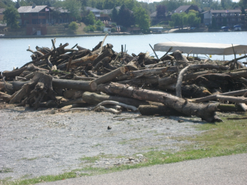 lake-clean-up-sept-2013-063